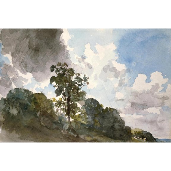 Art.com A Study of Clouds and Trees Art Print by John Constable, 18" x 12"