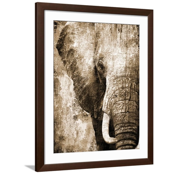 Art.com African Animals I - Sepia Art Print by Eric Yang, Brown Frame Wall Art, 32" x 40"