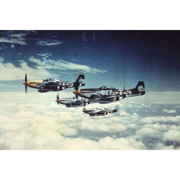 Art.com Air and Space: 361st Fight Group, Eighth Air Force Art Print, 36" x 24"