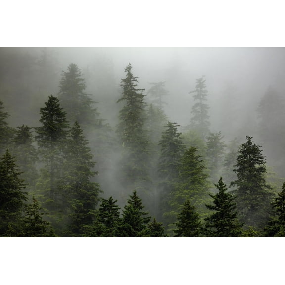 Art.com Alaska Photographic Print by Art Wolfe, 36" x 24"