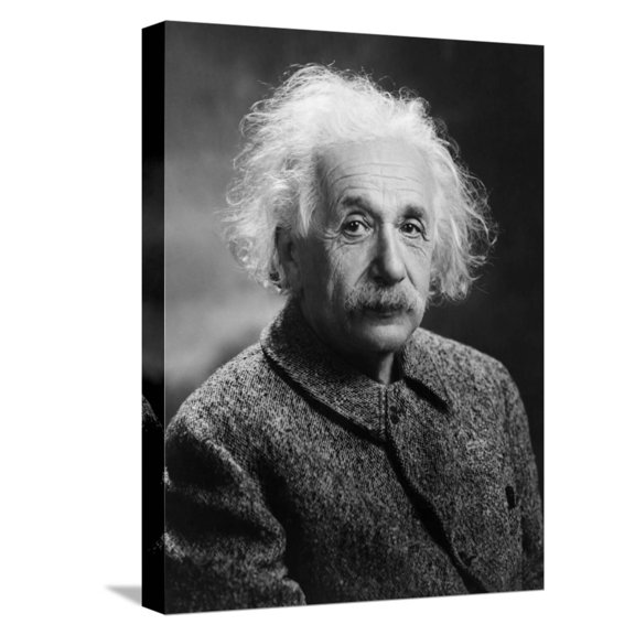 Art.com Albert Einstein Stretched Canvas Print Wall Art, 12" x 16"
