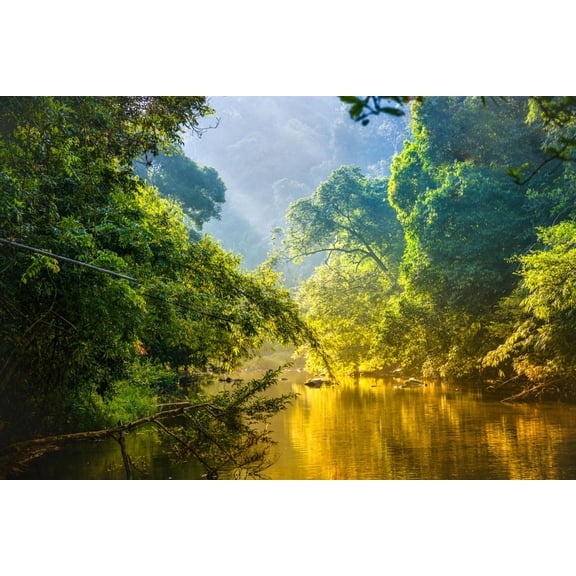 Art.com Amazing Scenic View Tropical Forest with Jungle River on Background Green Trees in the Morning Rays Photographic Print by Cocos Bounty, 24" x 16"