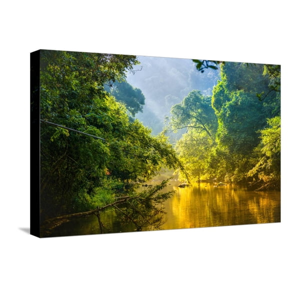 Art.com Amazing Scenic View Tropical Forest with Jungle River on Background Green Trees in the Morning Rays Stretched Canvas Print Wall Art by Cocos Bounty, 24" x 16"