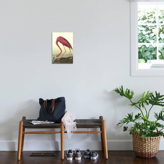 Art.com American Flamingo Art Print by John James Audubon, 12" x 18"