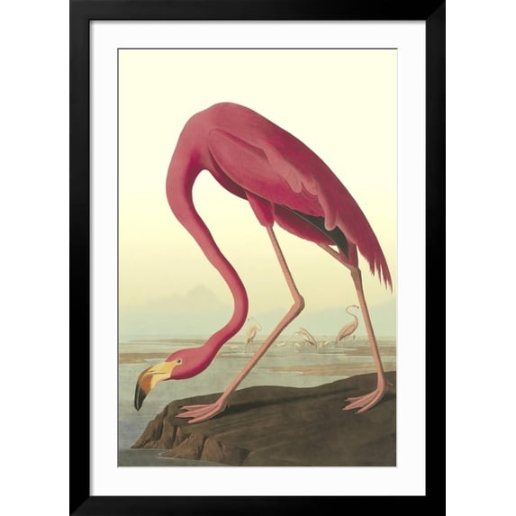 Art.com American Flamingo Art Print by John James Audubon, Black Frame Wall Art, 32" x 44"