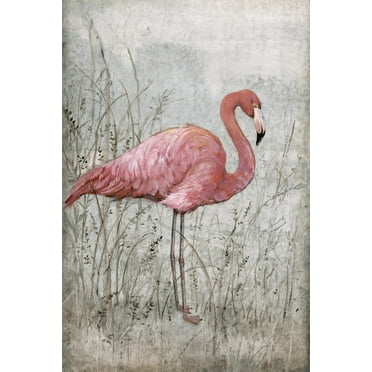 Art.com American Flamingo I Art Print by Tim O'toole, 12" x 18"