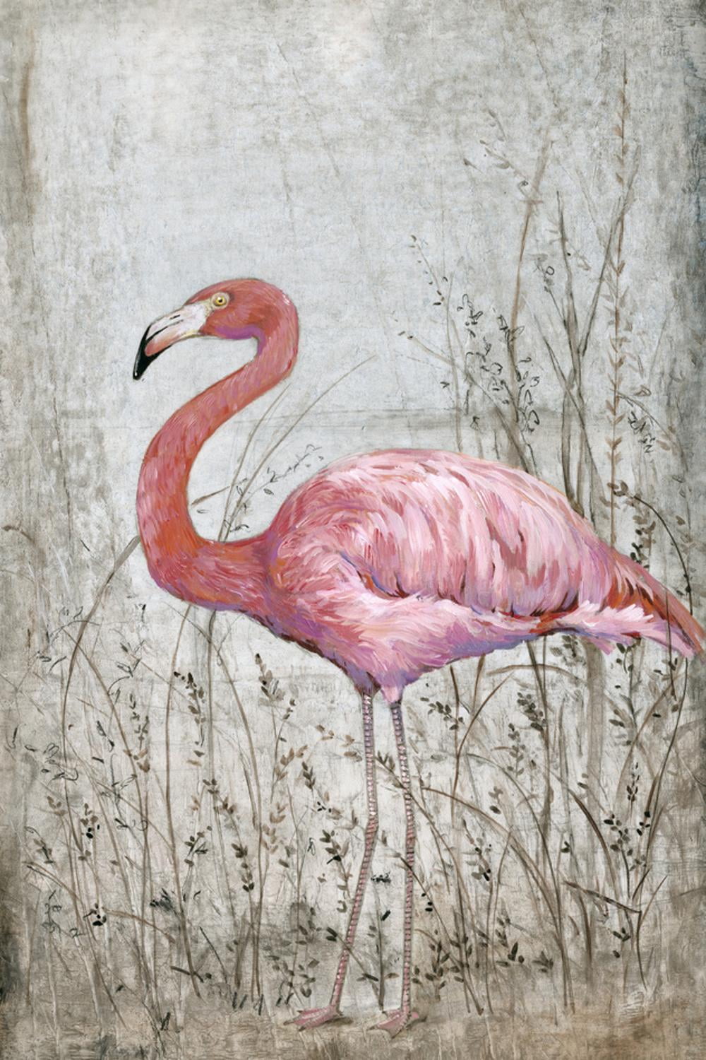 American Flamingo II Pink Canvas Print for Kids Room