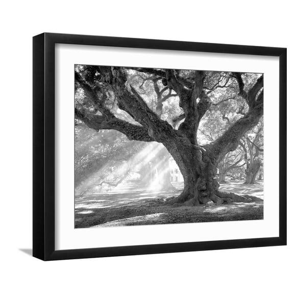 Art.com Andrew Oak, Afternoon Light Art Print by William Guion, Black Frame Wall Art, 21" x 17"