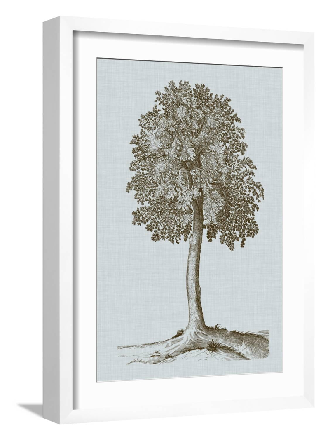 Antique Tree in Sepia II Art Print by Vision Studio, White