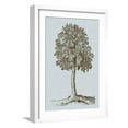 Antique Tree in Sepia II Art Print by Vision Studio, White
