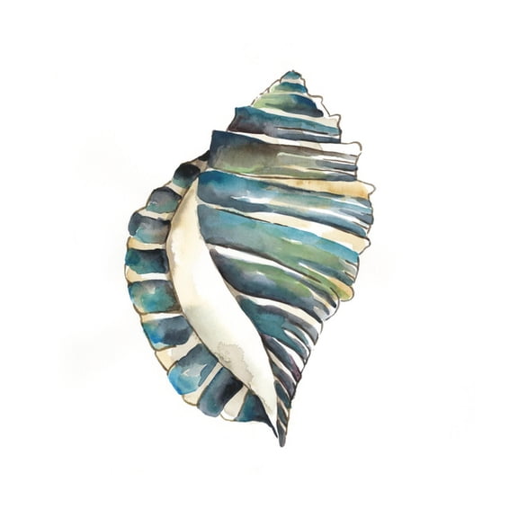 Art.com Aquarelle Shells I Art Print by Chariklia Zarris, 16" x 16"