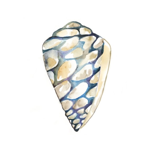 Art.com Aquarelle Shells III Art Print by Chariklia Zarris, 16" x 16"