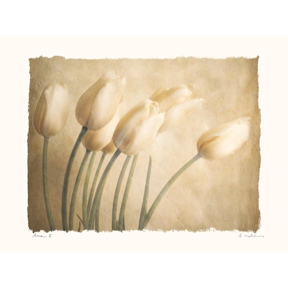 Art.com Aria II Art Print by Amy Melious, 16" x 12"