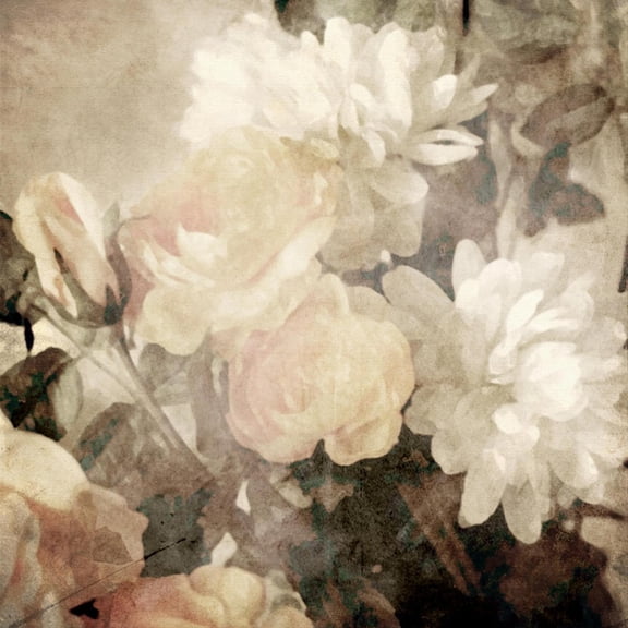 Art.com Art Floral Vintage Light Sepia Blurred Background with White Asters and Roses Art Print by Irina QQQ, 16" x 16"