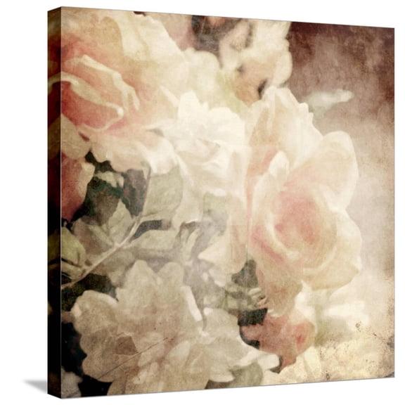 Art.com Art Floral Vintage Sepia Background with White Roses Stretched Canvas Print Wall Art by Irina QQQ, 24" x 24"