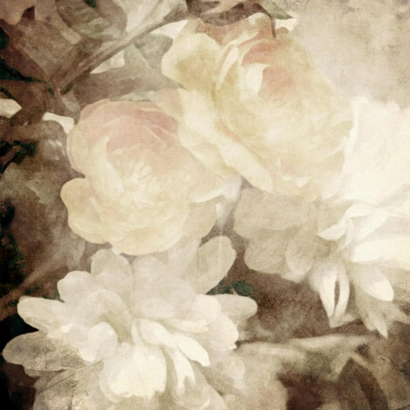 Art.com Art Floral Vintage Sepia Blurred Background with White Asters and Roses Art Print by Irina QQQ, 16" x 16"