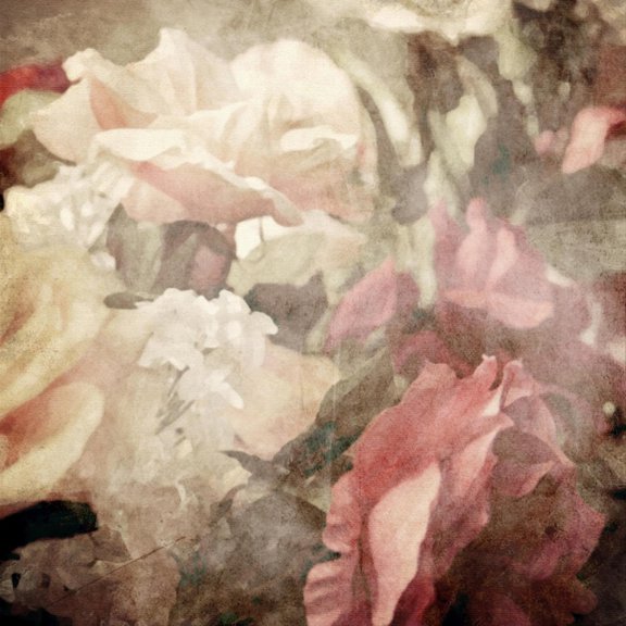 Art.com Art Floral Vintage Sepia Blurred Background with White and Pink Roses Art Print by Irina QQQ, 16" x 16"