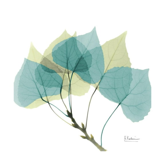 Art.com Aspen Premium Giclee Print by Albert Koetsier, 16" x 16"