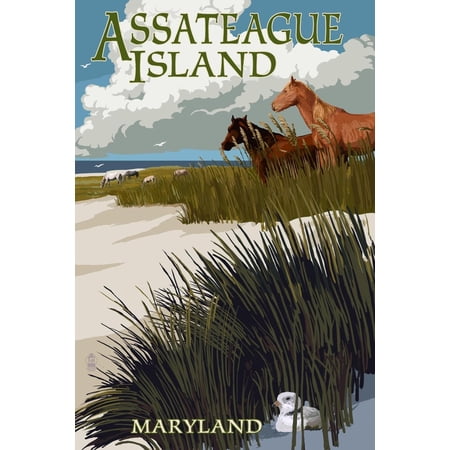 Art.com Assateague Island, Maryland - Horses and Dunes Art Print by Lantern Press, 12" x 18"