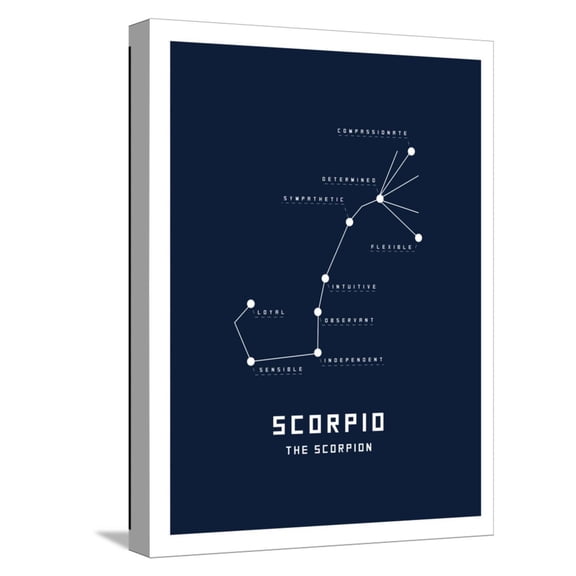Art.com Astrology Chart Scorpio Stretched Canvas Print Wall Art, 12" x 16"