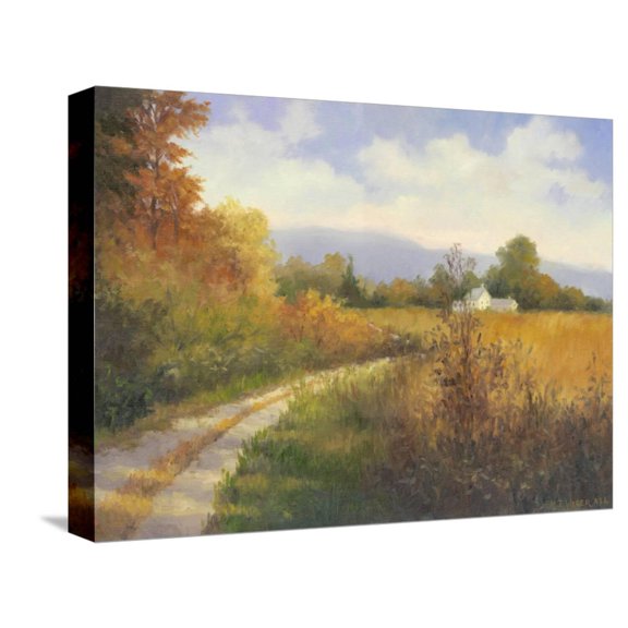Art.com Autumn Country Road Stretched Canvas Print Wall Art by Mary Jean Weber, 16" x 12"