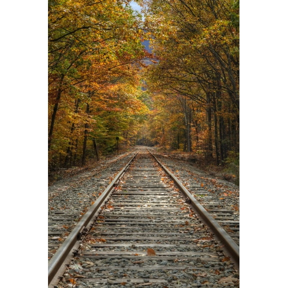 Art.com Autumn Railroad Tracks, White Mountain, New Hampshire Photographic Print by Vincent James, 24" x 36"