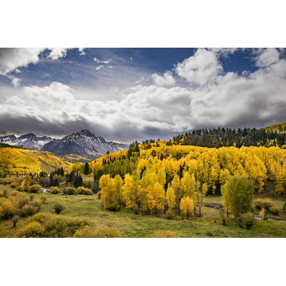 Art.com Autumn aspen trees and Sneffels Range, Mount Sneffels Wilderness, Colorado Photographic Print by Adam Jones, 18" x 12"