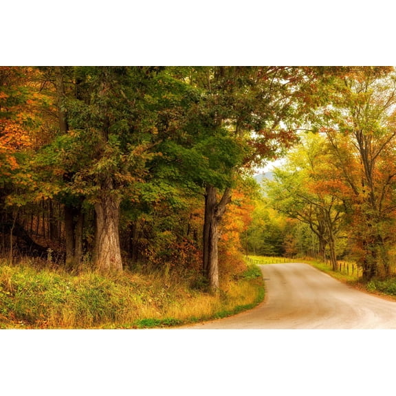 Art.com Autumn's First Day Art Print by Andy Amos, 18" x 12"