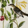 thumbnail image 1 of Art.com Avian Crop II Art Print by John James Audubon, 30" x 30", 1 of 4
