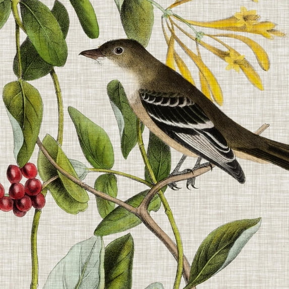 Art.com Avian Crop II Art Print by John James Audubon, 30" x 30"