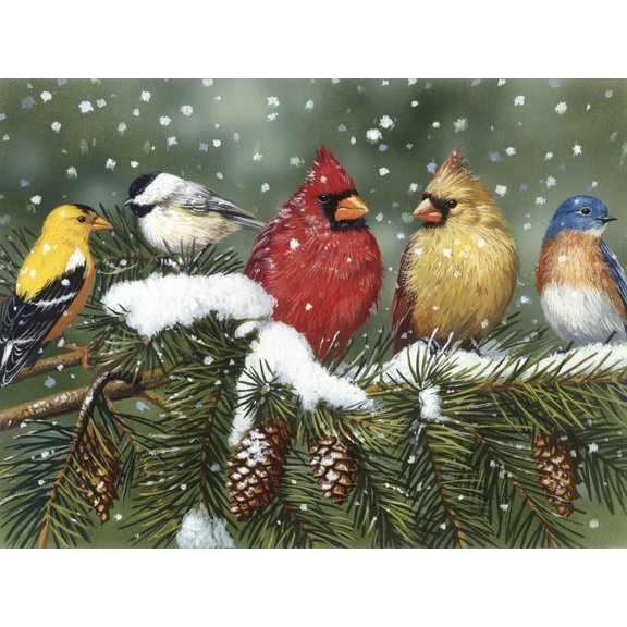 Art.com Backyard Birds on Snowy Branch Giclee Print by William Vanderdasson, 24" x 18"