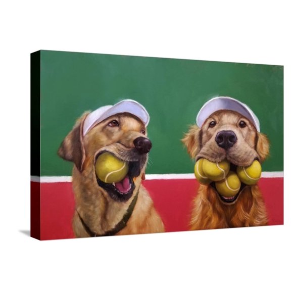 Art.com Ball Hog Stretched Canvas Print Wall Art by Lucia Heffernan, 24" x 16"