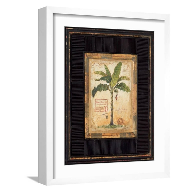 Art.com Banana Palm Art Print by Chad Barrett, White Frame  display picture 1