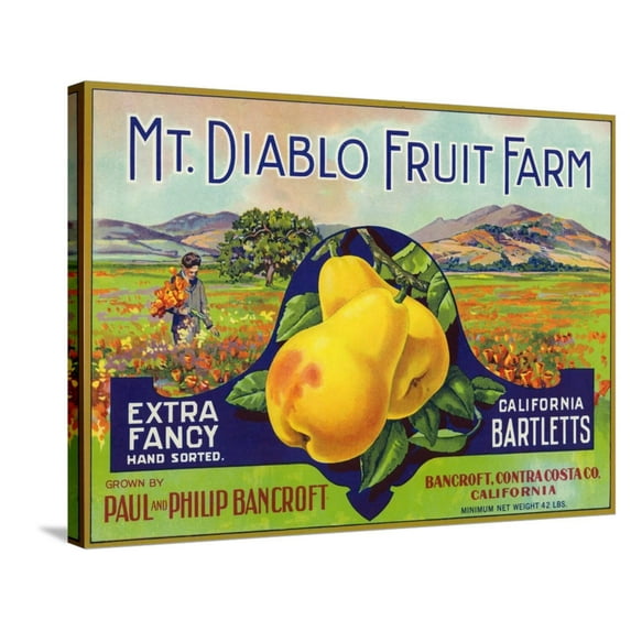 Art.com Bancroft, California, Mt. Diablo Fruit Farm Brand Pear Label Stretched Canvas Print Wall Art by Lantern Press, 32" x 24"