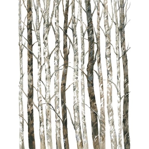 Art.com Bare II Art Print by Tim O'toole, 12" x 16"