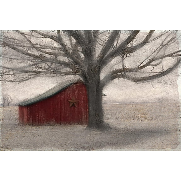 Art.com Barnyard Star Photo by Kimberly Allen, 36" x 24"