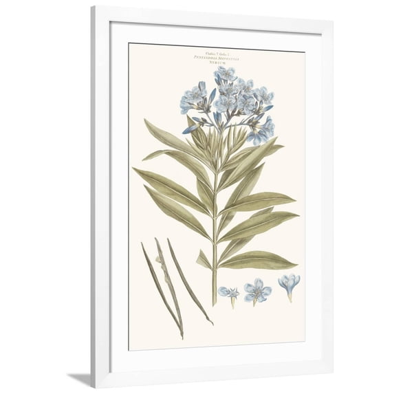 Art.com Bashful Blue Florals III Art Print by John Miller, White Frame Wall Art, 32" x 44"