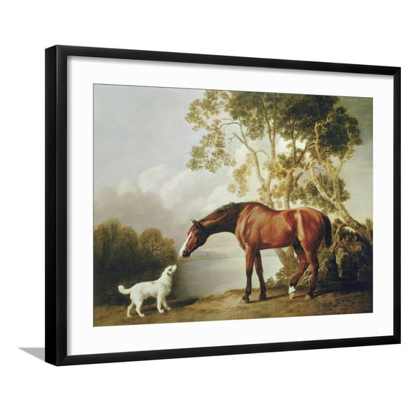 Art.com Bay Horse and White Dog Art Print by George Stubbs, Black Frame Wall Art, 29" x 23"