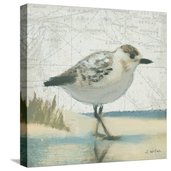 Art.com Beach Bird I Stretched Canvas Print Wall Art by James Wiens, 16" x 16"