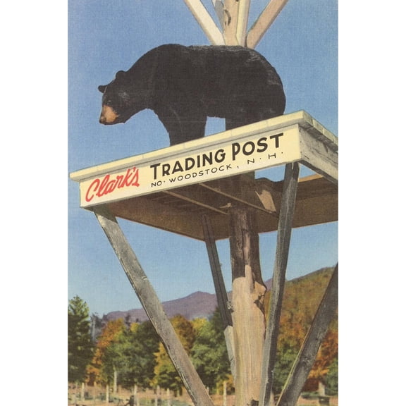 Art.com Bear, Clark's Trading Post, Woodstock, New Hampshire Art Print, 12" x 18"