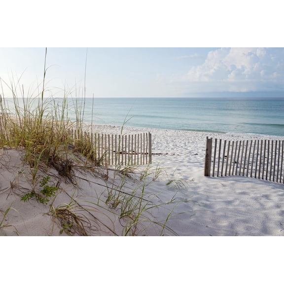 Art.com Beautiful Beach at Sunrise Photographic Print by forestpath, 36" x 24"