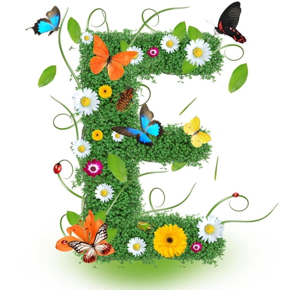 Art.com Beautiful Spring Letter E Art Print by Kesu01, 24" x 24"