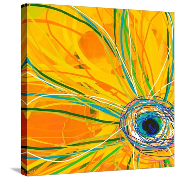 Art.com Big Pop Floral I Stretched Canvas Print Wall Art by Ricki Mountain, 24" x 24"