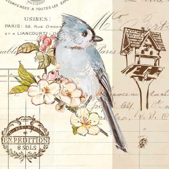 Art.com Bird Sketch 4 Art Print by Chad Barrett, 16" x 16"