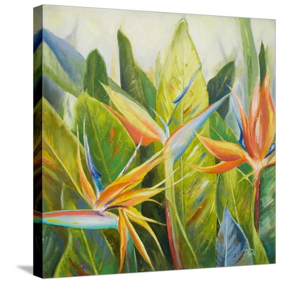 Art.com Bird of Paradise I Stretched Canvas Print Wall Art by Patricia Pinto, 24" x 24"