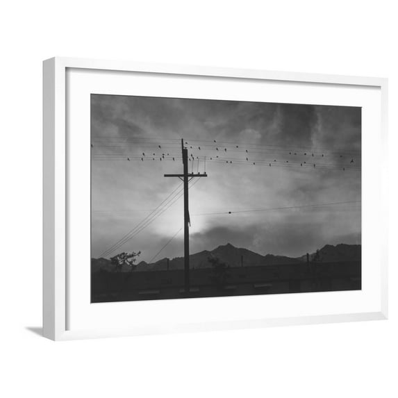 Art.com Birds on Wire, Evening Art Print by Ansel Adams, White Frame Wall Art, 29" x 21"