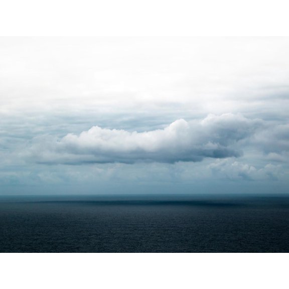 Art.com Bishop 3 Photographic Print by Design Fabrikken, 32" x 24"