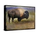 thumbnail image 1 of Art.com Bison Portrait II Stretched Canvas Print Wall Art by Chris Vest, 16" x 12", 1 of 4