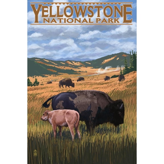 Art.com Bison and Calf Grazing - Yellowstone National Park Art Print by Lantern Press, 12" x 18"