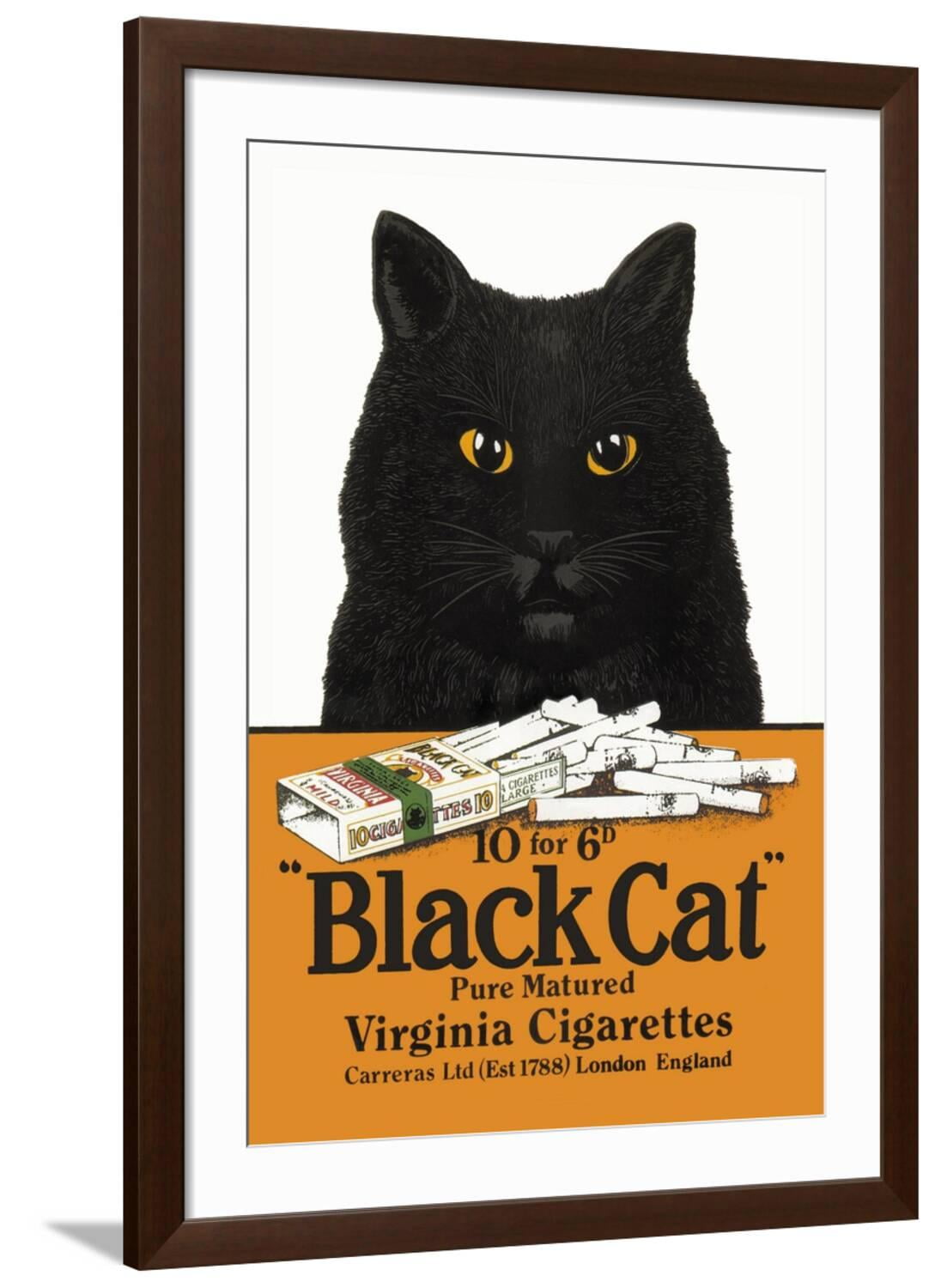 black cat virginia cigarettes Super live packet in Antique Tobacciana famed and canvases prints offer versatility Vintage " Black Cat "